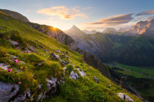 Austria, Karwendel, Tyrol, Sonjoch, Alps, mountain, mountains, picturesque, sunrise, star, back light, rock, meadow, flowers, mood, river, valley, Ahornboden, panorama, clouds, light, scenery, summit Austria, Karwendel, Tyrol, Sonjoch, Alps, mountain, mountains, picturesque, sunrise, star, back light, rock, meadow, flowers, mood, river, valley, Ahornboden, panorama, clouds, light, scenery, summit